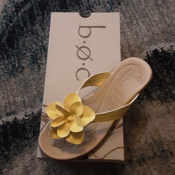 Shoe - Picture 1 of 2